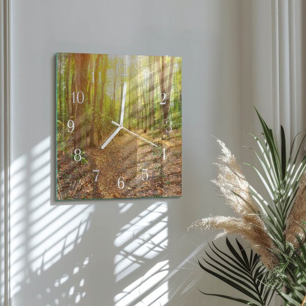 Skleněné hodiny Lesní cesta zskb-30x30-00080839