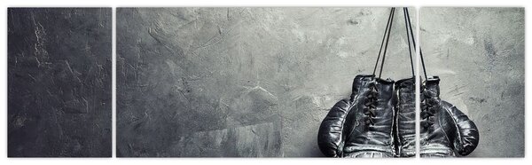 Obraz boxerských rukavic (170x50 cm)