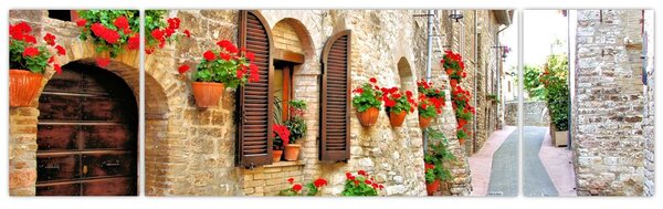 Obraz - Malebná Italská ulička (170x50 cm)
