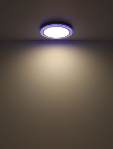 Globo 41372-24 - LED RGBW Stmívatelné stropní svítidlo BOLLY LED/20W/230V + DO