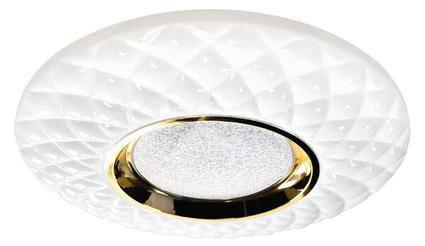 Stropní LED svítidlo Tokyo, 1x LED 24w, 3000-6000k, w/g, s ovladačem