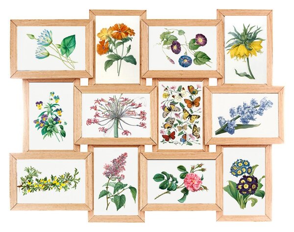 Multirám na 12 fotek FINES, fotorámeček koláž 45 x 59 cm
