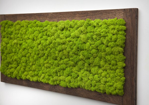 Nástěnná dekorace obraz z mechu ve dřevěném rámu 70 x 30 cm