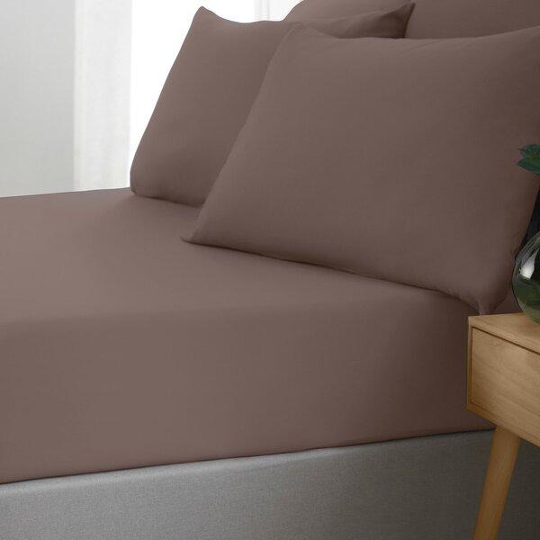 Tmavě hnědé napínací prostěradlo 90x190 cm So Soft Non Iron – Catherine Lansfield