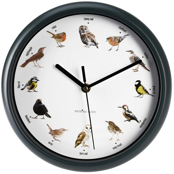 Nástěnné hodiny Birds, bílá/zelená
