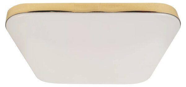 Stropní LED svítidlo Nemo, 1x LED 17w, 4000k, g