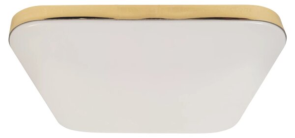 Stropní LED svítidlo Nemo, 1x LED 17w, 4000k, g