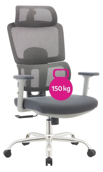 Ergonomická kancelářská židle DYNAMIC - šedá síťovina / nosnost 150 kg