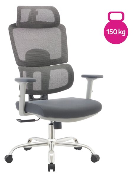 Ergonomická kancelářská židle DYNAMIC - šedá síťovina / nosnost 150 kg