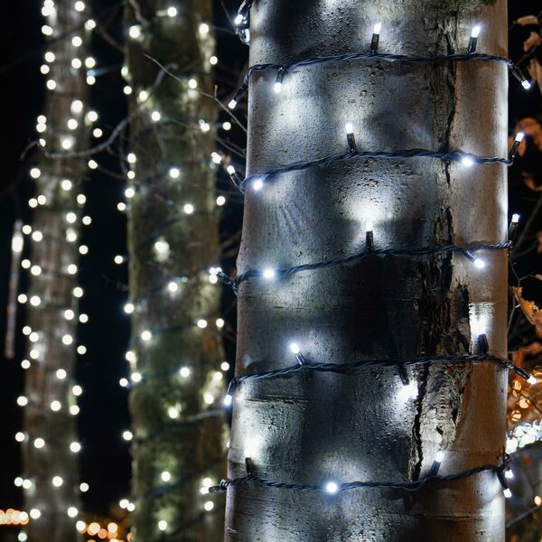 Venkovní LED vánoční řetěz PROFI, černý kabel, studená bílá, 10m, 100 LED