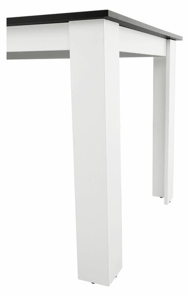 Jídelní stůl Plat (obdélník) (pro 4 osoby) (bílá + černá)