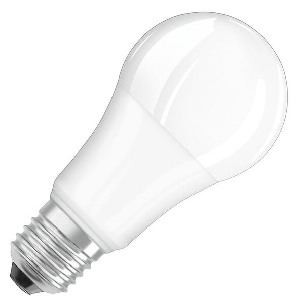Matná LED žárovka E27 13 W teplá bílá