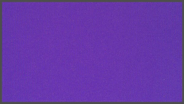 Kočárkovina fialová (fialová 41524)
