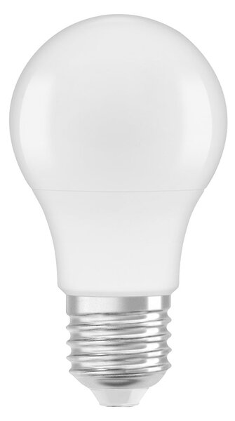 Kvalitní LED žárovka E27 4,9 W STAR, studená bílá