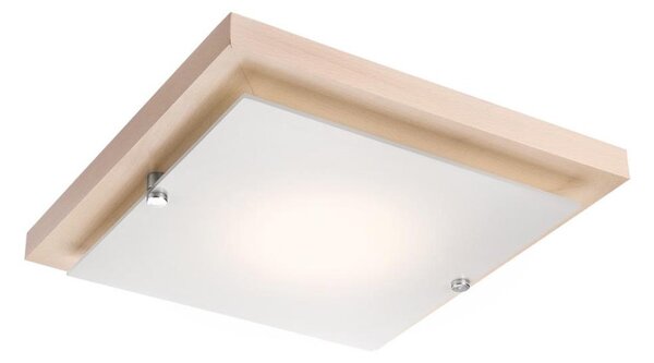 LED Stropní svítidlo LED/12W/230V buk