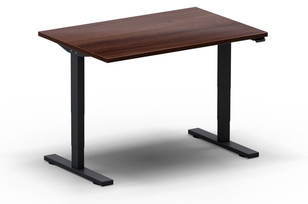 Elektricky výškově nastavitelný stůl - Délka: 120 cm, Hloubka: 80 cm - LEGEND 1280 (LEGEND 1280 - stůl)