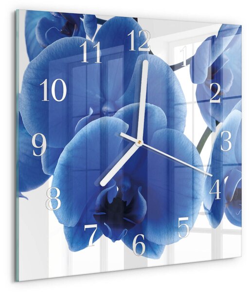 Skleněné hodiny Orchidej zskb-30x30-00084721