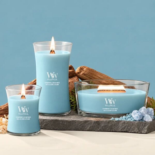 WoodWick Malá vonná svíčka WoodWick, Cedarwood & Ocean Moss