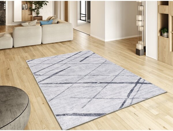 Světle šedý koberec 160x230 cm Class – Universal