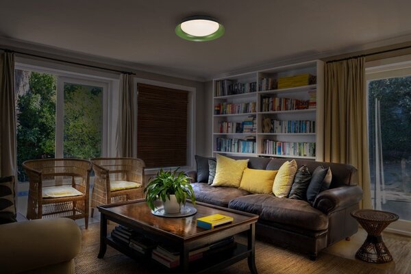 LED stropní svítidlo černá + zelená 310mm ORBIS, teplá bílá
