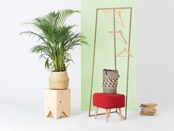 Nordic Design Zlatý kovový věšák Tenzo 60 cm