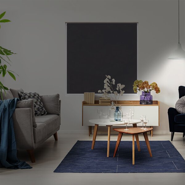 FOA Látková roleta, BASIC, Tmavě šedá, LT 111 , 30 x 150 cm