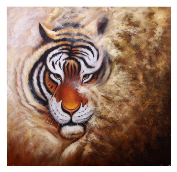 Obraz Dalmart tigr 80x80cm