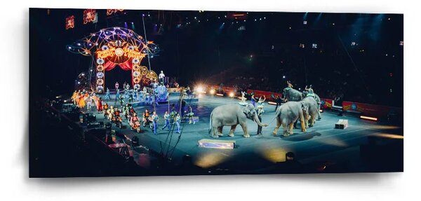 Sablio Obraz Cirkus - 110x50 cm