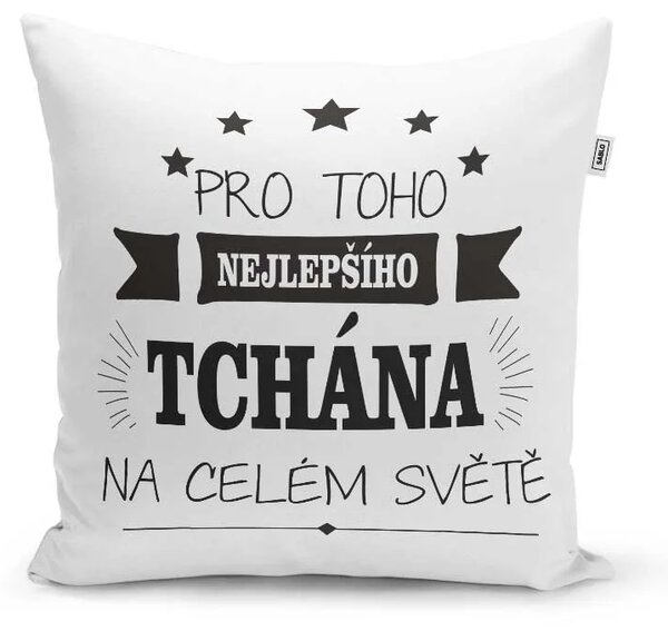 Sablio Polštář Pro toho nejlepšího tchána na celém světě: 40x40 cm