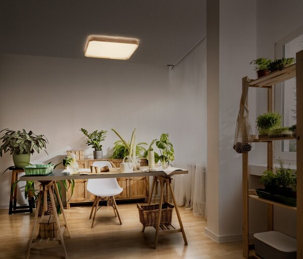 Dřevěné LED stropní svítidlo 495x495 mm ORBIS, teplá bílá OSRAM