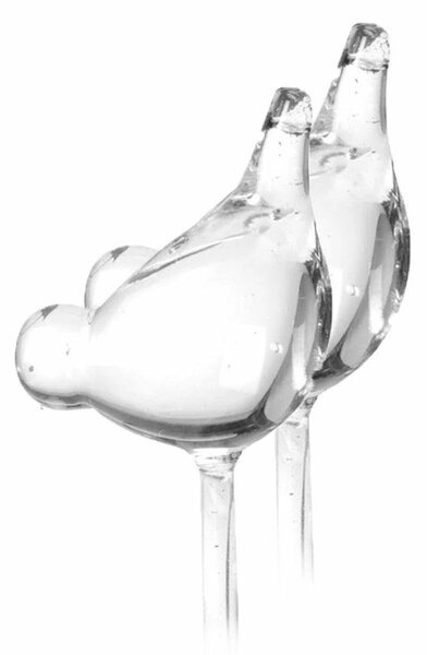 Zavlažovací koule Birds, 40x10 cm, sada 2ks, transparentní