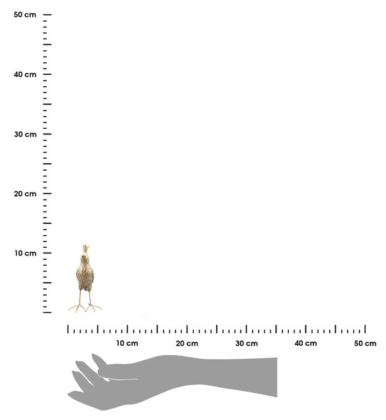 Zahradní figurka z polyresinu Jude, sada 2ks, 11,5 cm, zlatá