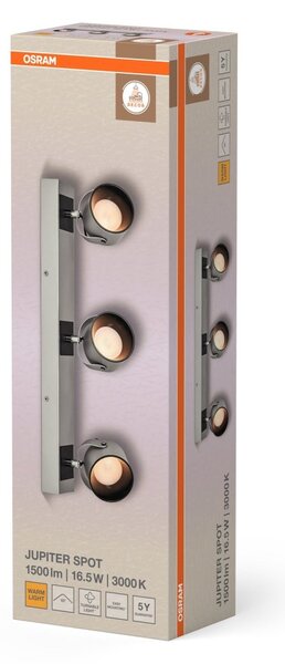 Dekorativní stříbrné stropní svítidlo 16,50 W Teplá bílá 500 mm