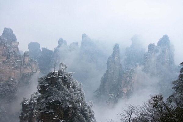 DIMEX | Vliesová fototapeta Čínský národní park MS-5-1640 | 375 x 250 cm| hnědá, šedá