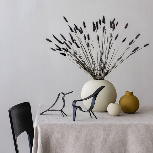 COOEE Design Sušené květy Lagurus - Black CED230