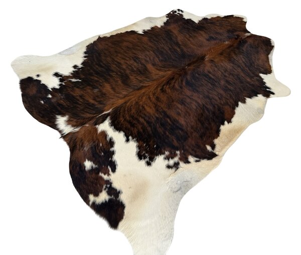 Koberec kusový hovězí kůže 3,4 m2, exotic tricolor 1034