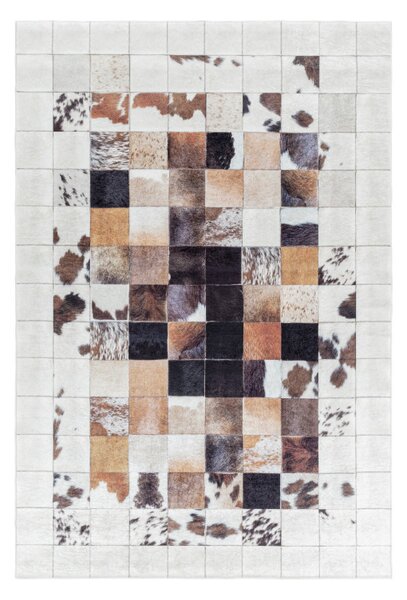 Ayyildiz, Kusový koberec Fiesta 4306 white, 80x150, vícebarevná, chodba / předsíň