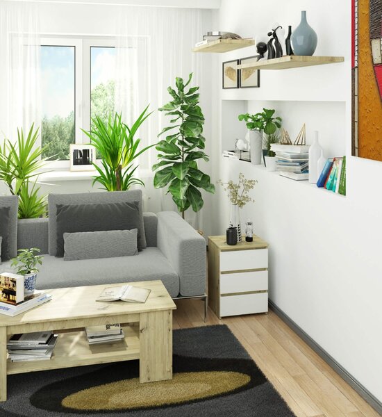 Ak furniture Komoda CL3 40 cm dub artisan/bílá
