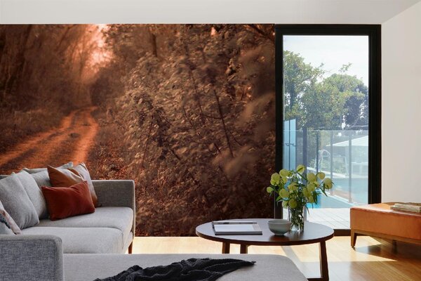 DIMEX | Vliesová fototapeta Cesta lemovaná duby MS-5-1708 | 375 x 250 cm| zelená, oranžová
