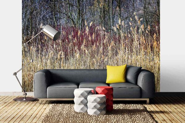 DIMEX | Vliesová fototapeta Zimní rákosí MS-5-1716 | 375 x 250 cm| krémová, hnědá
