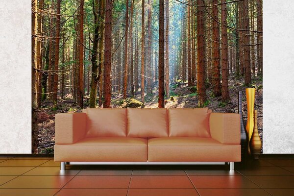 DIMEX | Vliesová fototapeta Smrkový les MS-5-1848 | 375 x 250 cm| zelená, hnědá