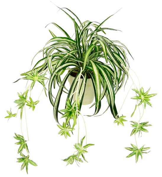 UMĚLÁ ROSTLINA 60 cm - Umělé rostliny, Online Only