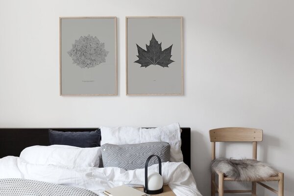 Coco Lapine Design Plakát La Feuille CL108