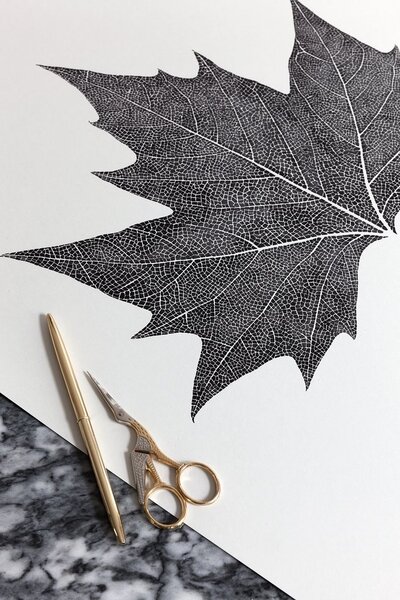 Coco Lapine Design Plakát La Feuille CL108