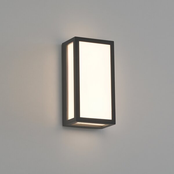ACB Iluminacion Venkovní LED nástěnné svítidlo LIAM, v. 20 cm, 10W, CRI90, IP65