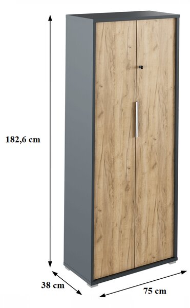 Kancelárska skříň se zámkem Hamila NEW TYP 31 (grafit + dub artisan)