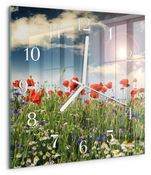 Skleněné hodiny Louka zskb-30x30-00086966
