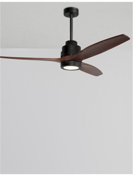Nova Luce Stropní ventilátor se světlem SABAL tělo z oceli matná černá a sklo 3ABS dřevěné listy 12W 3000K