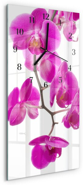 Skleněné hodiny vertikální Orchideje zsppc-30x60-00172446