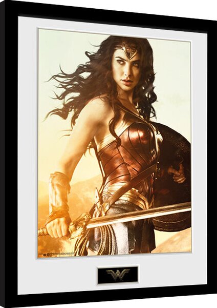Obraz na zeď - Wonder Woman - Sword
